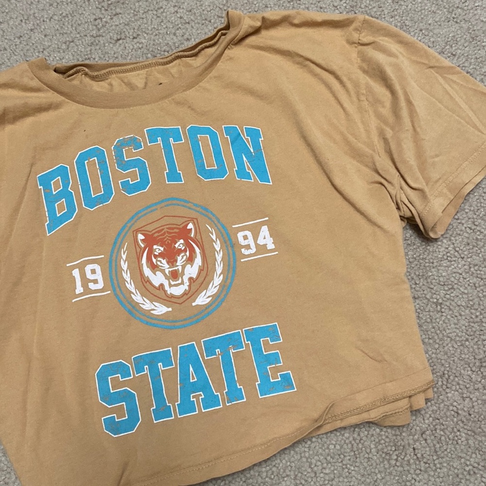 Boston state graphic crop top